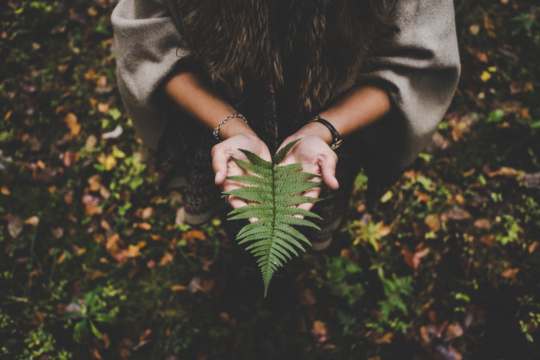 woman holding fern leaf