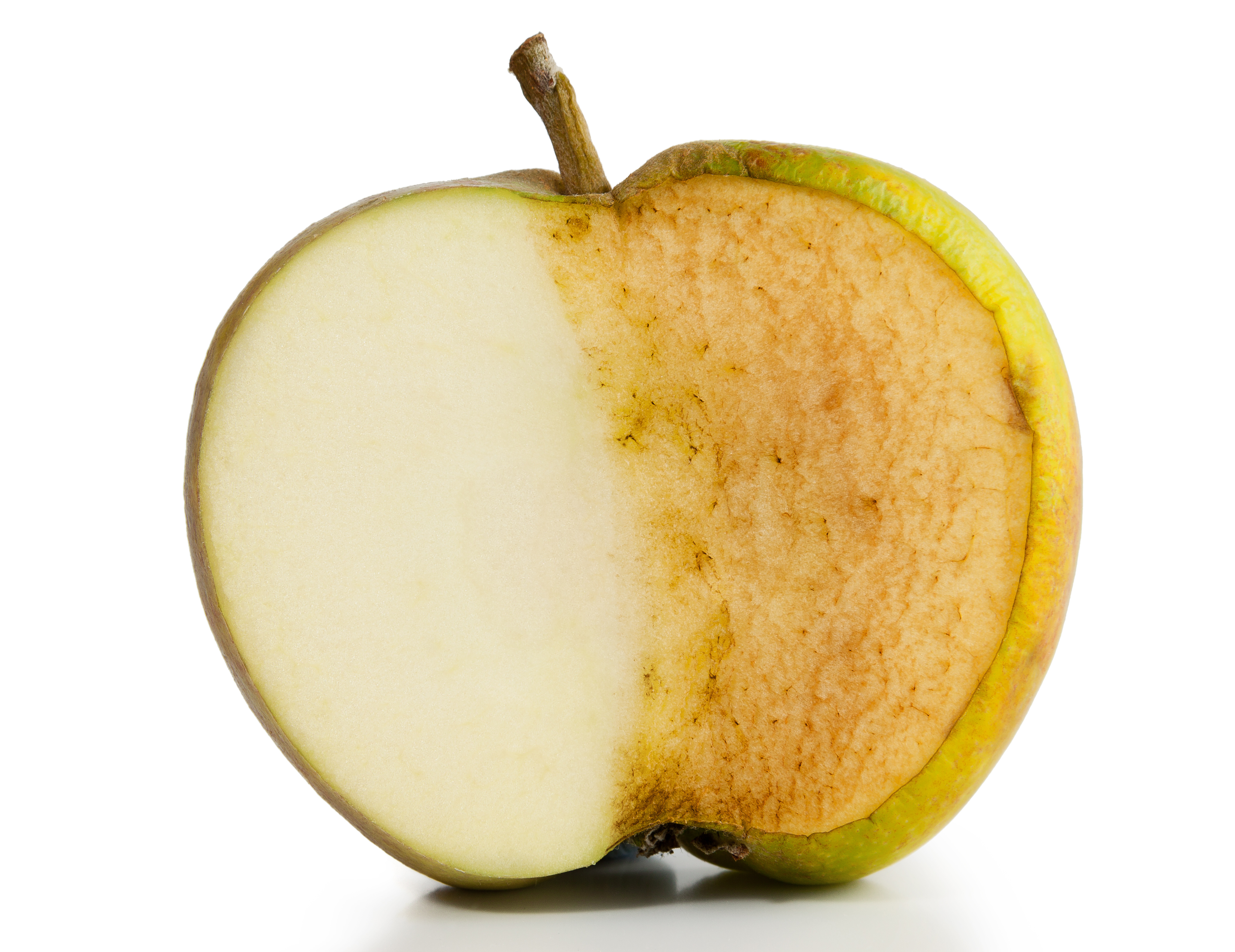 An apple sliced in half, with one side fresh and the other side browned. Browning is caused by oxidation.