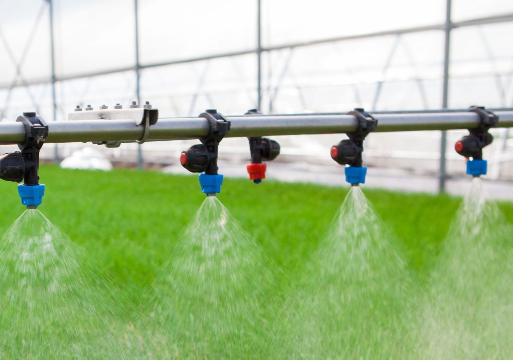 Agricultural greenhouse watering system in action.