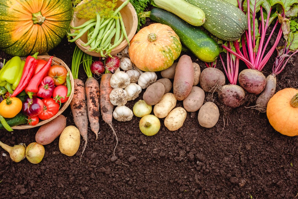 Arrangement of fresh fruits and vegetables on soil.